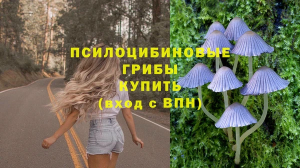 спайс Алзамай